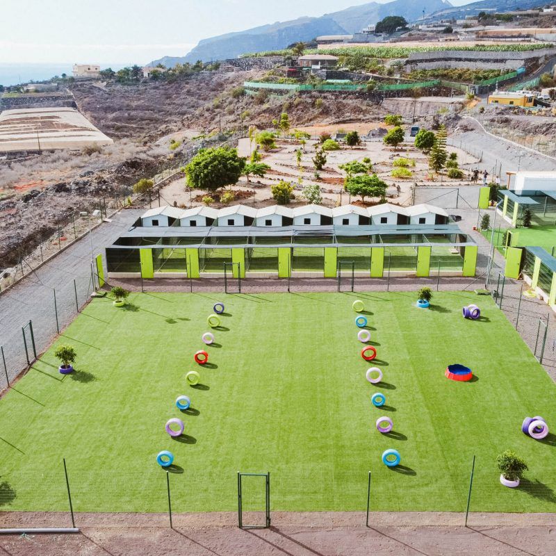 hotel para perros