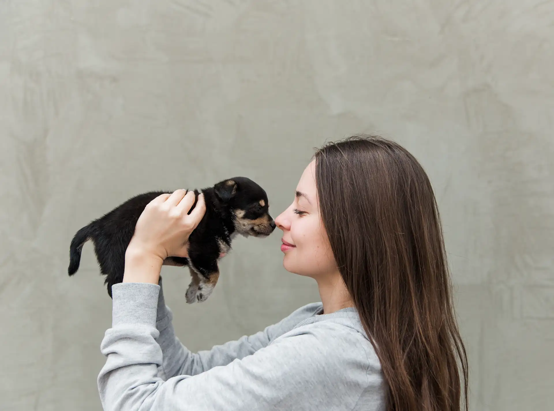cómo educar a un cachorro consejos