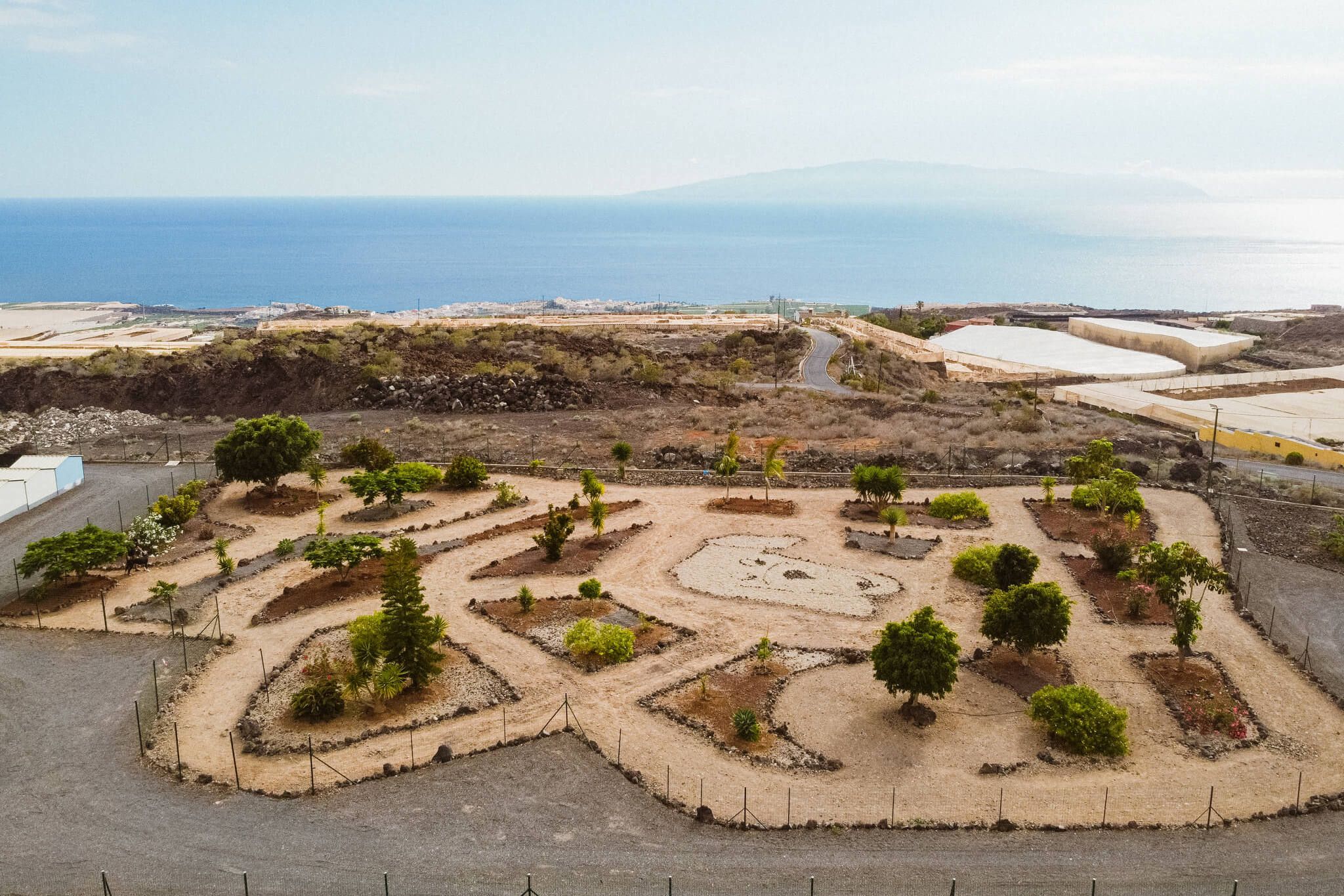 Parque canino: beneficios y consejos para tu perro