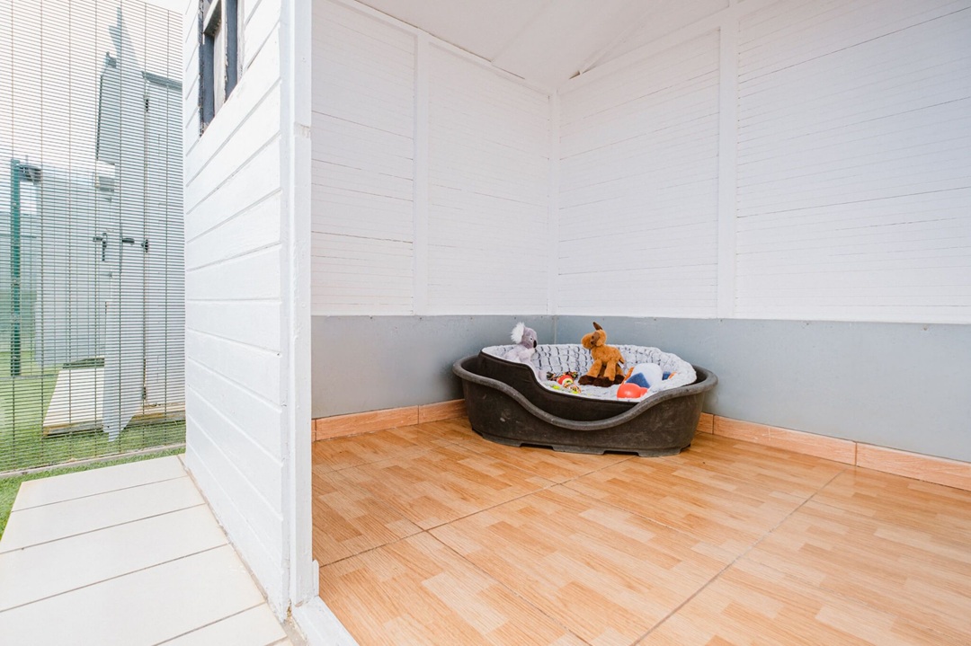 cama para perros en koala pets home