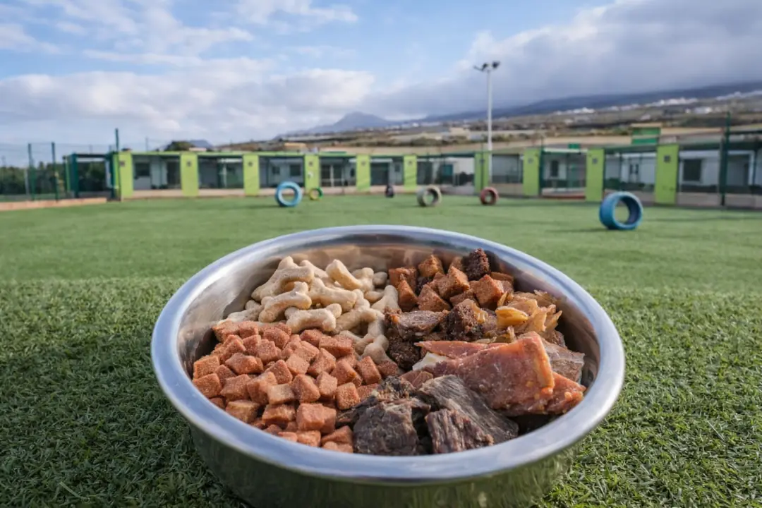 comedero lleno de snacks para perros o golosinas