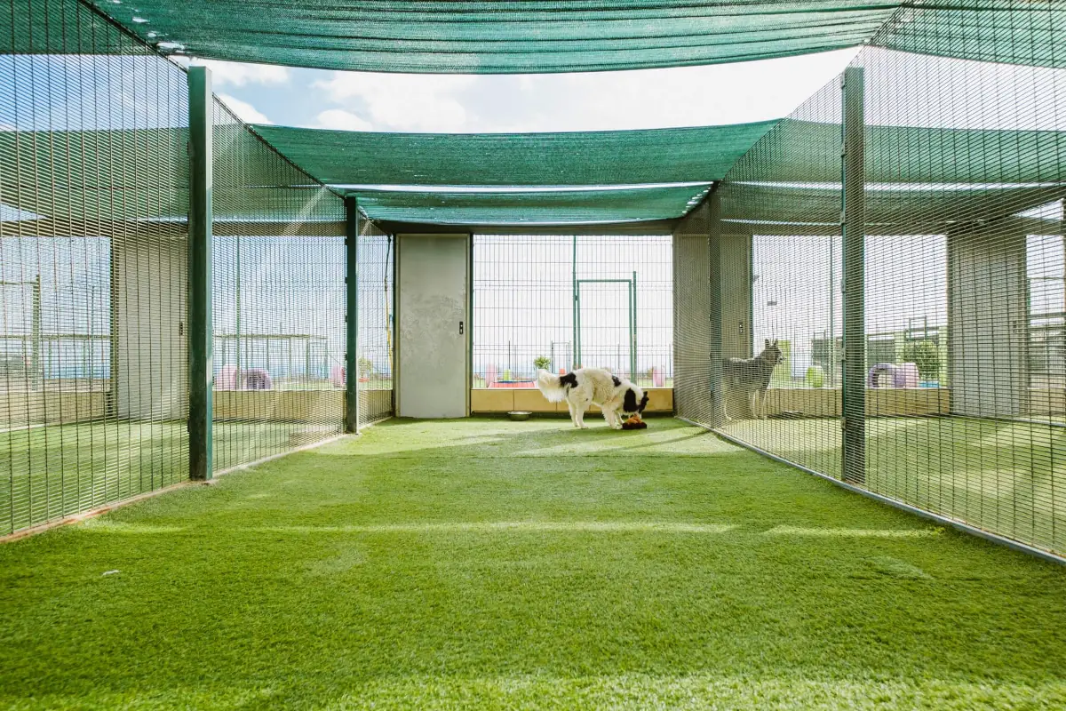 Caseta con jardín privado y zona de sombra en Koala Pets Home
