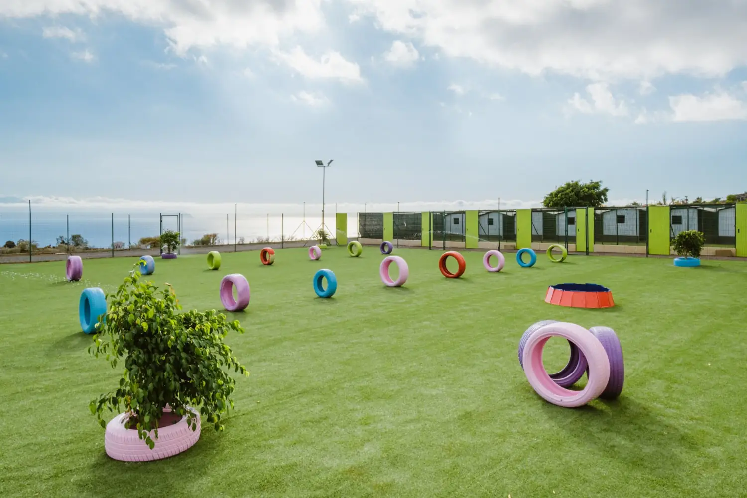 Instalaciones de Koala Pets Home